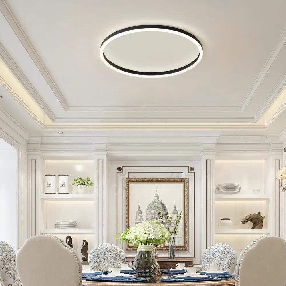 Modern Ring Flush Mount Ceiling Light